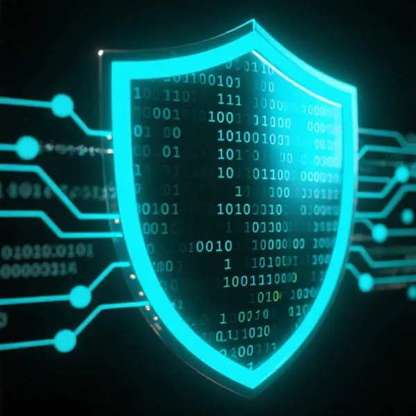 安全架构示意图